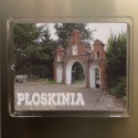 magnes Płoskinia